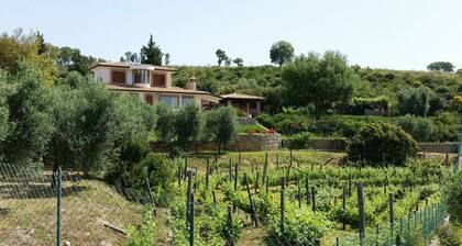Uva & Stelle Maison Detached Villa in the Hills of Sperlonga