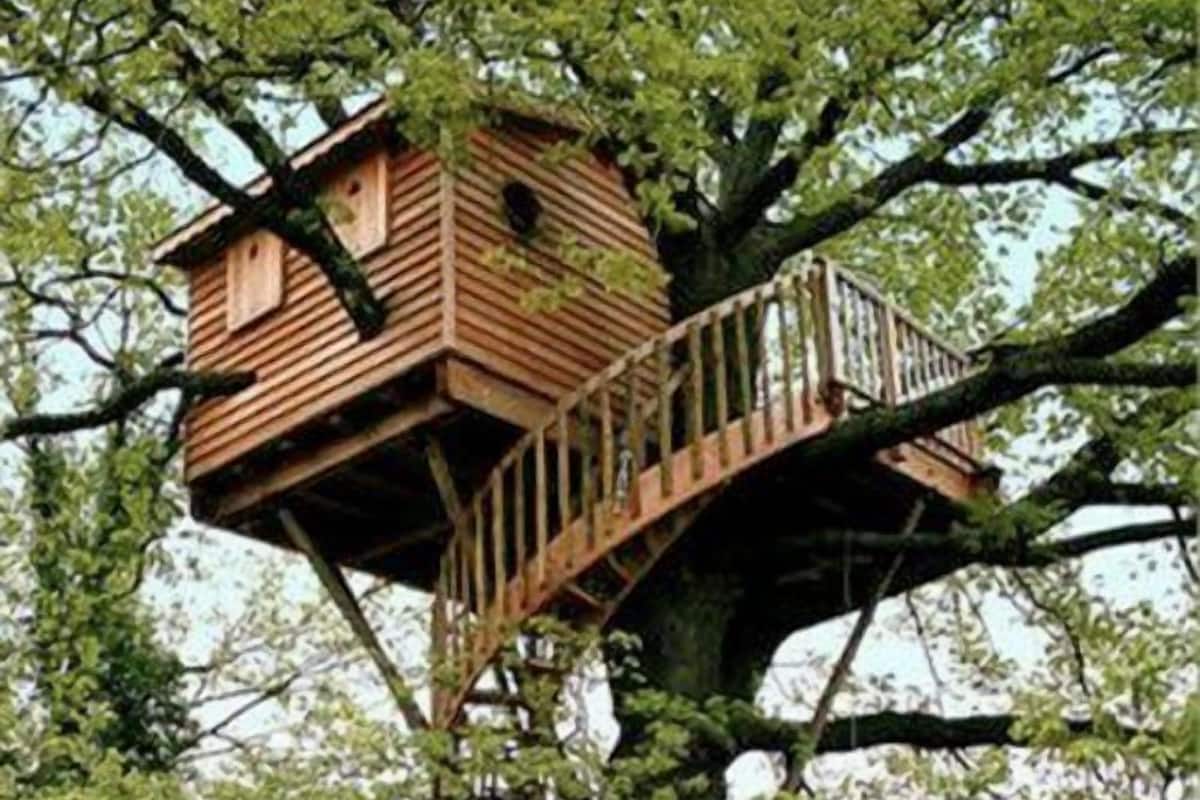 Deluxe Tree House | 2 bedrooms, down duvets, memory-foam beds, individually decorated