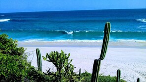 Appartamento, 1 camera da letto, fumatori, balcone | Spiaggia