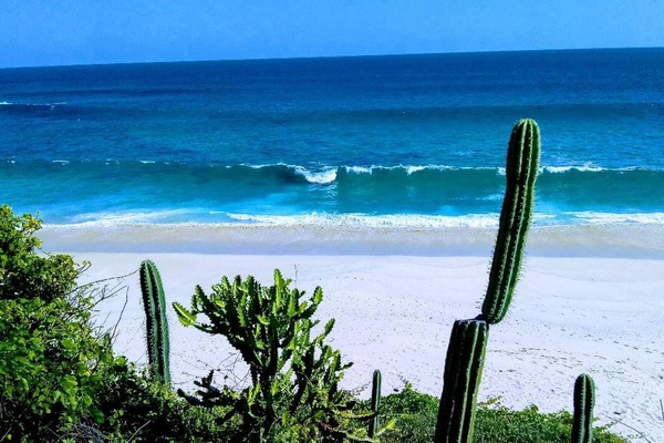 Apartment, 1 Bedroom, Smoking, Balcony | Beach