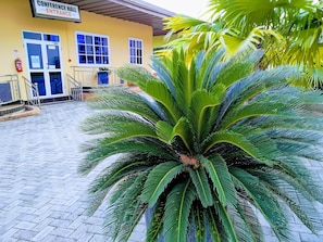 Apartment, Multiple Bedrooms, Accessible, Smoking | Garden