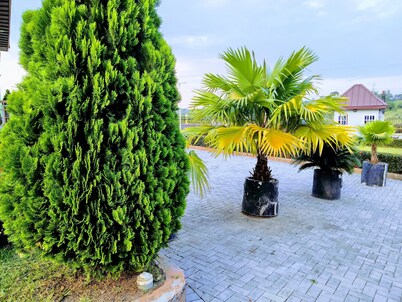 Renajoe Exclusive Centre