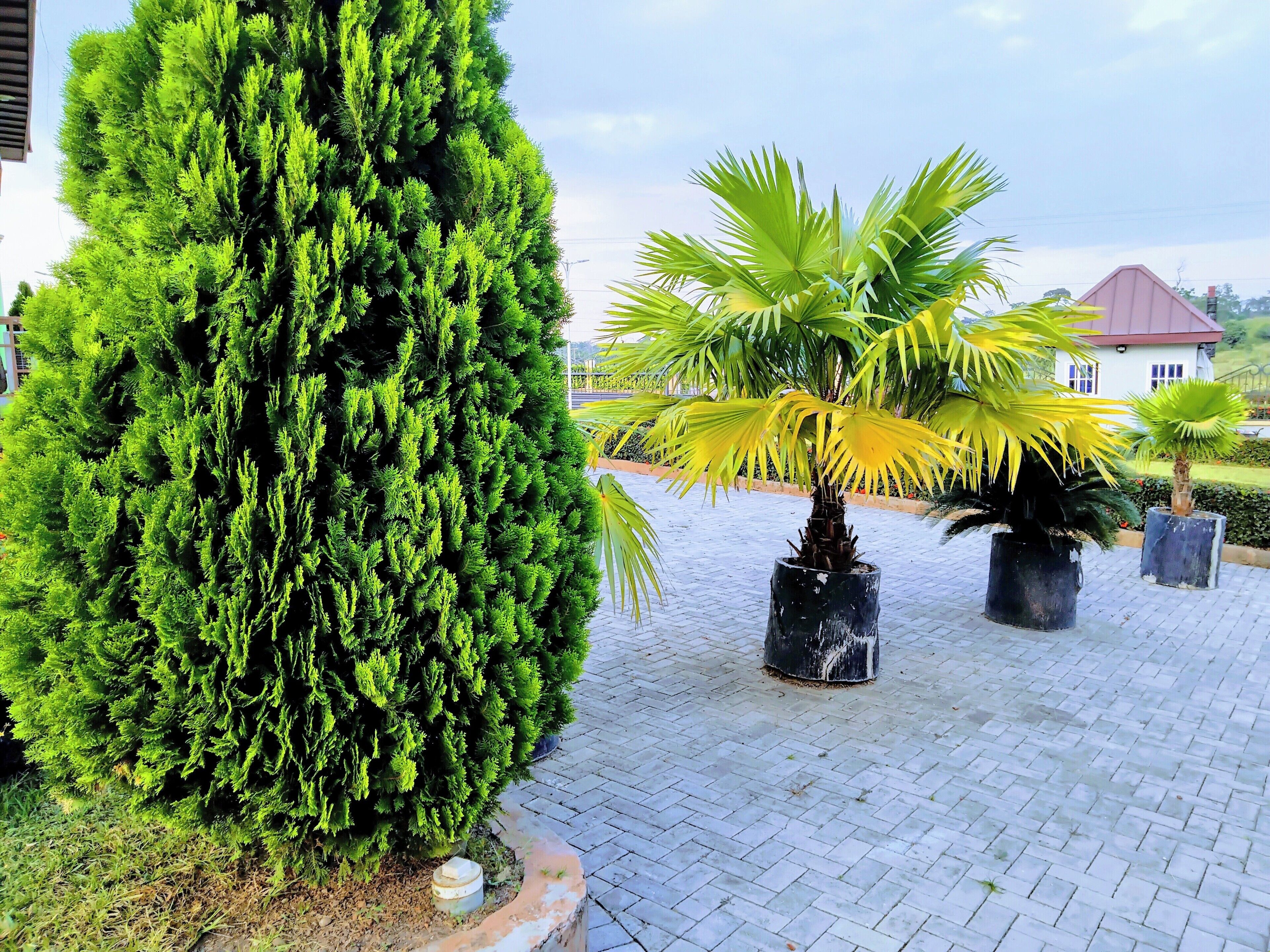 Apartment, Mehrere Schlafzimmer, barrierefrei, Raucher | Garten