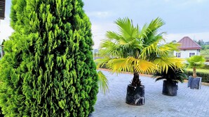 Apartament, diversos dormitoris, accessible, fumadors | Jardí