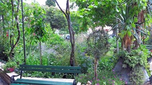 Um banco verde num jardim com várias plantas e um muro de pedra.