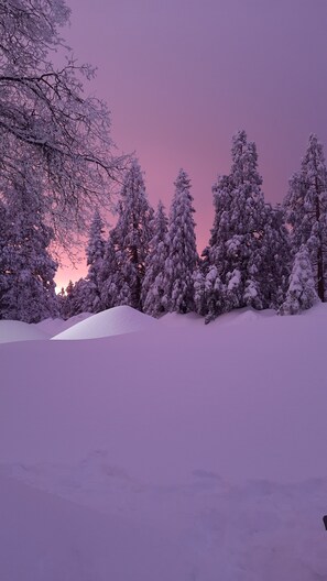 Un paisaje nevado con árboles y un cielo morado.
