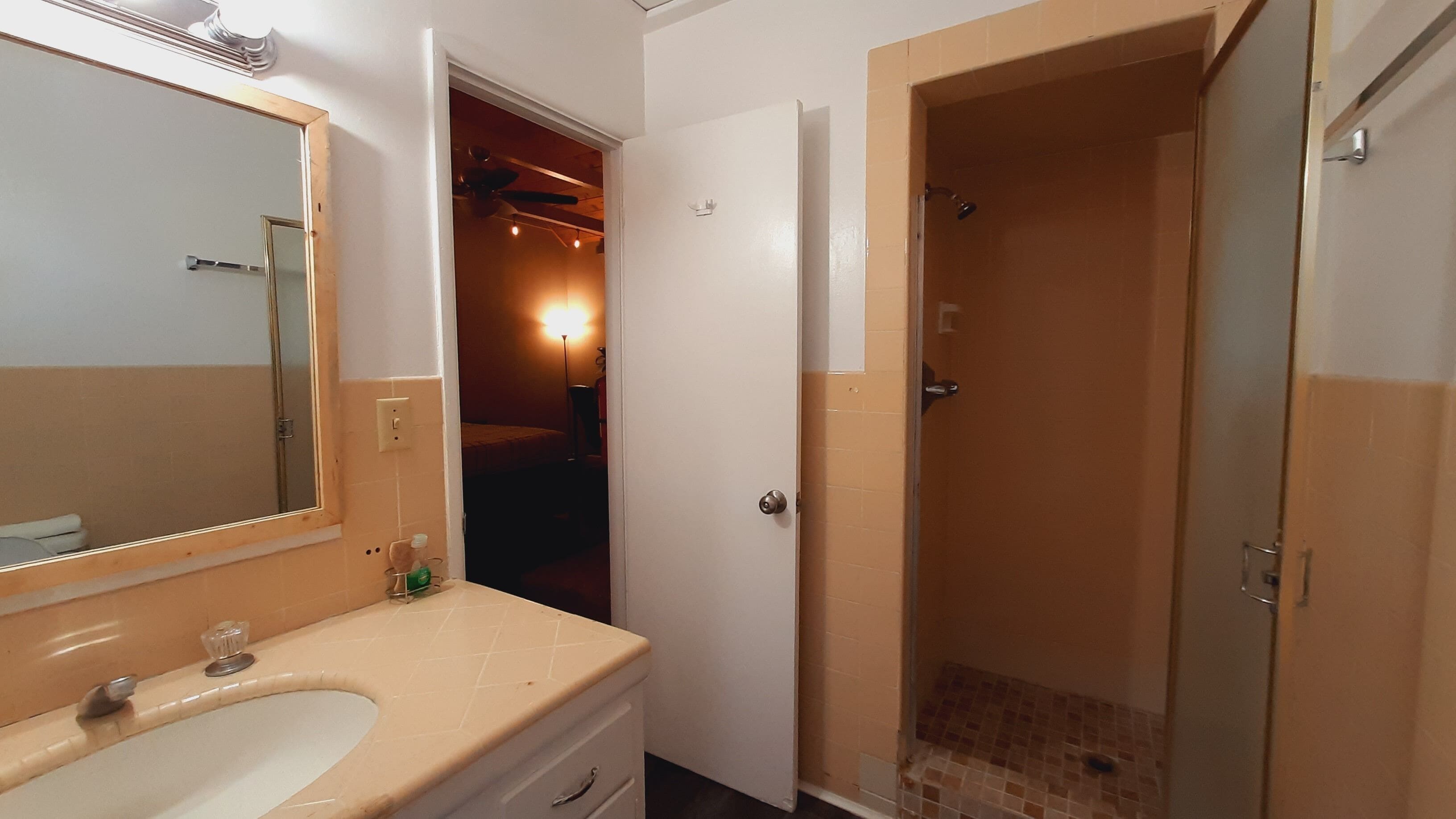 Une salle de bain avec un lavabo, un miroir et une douche.