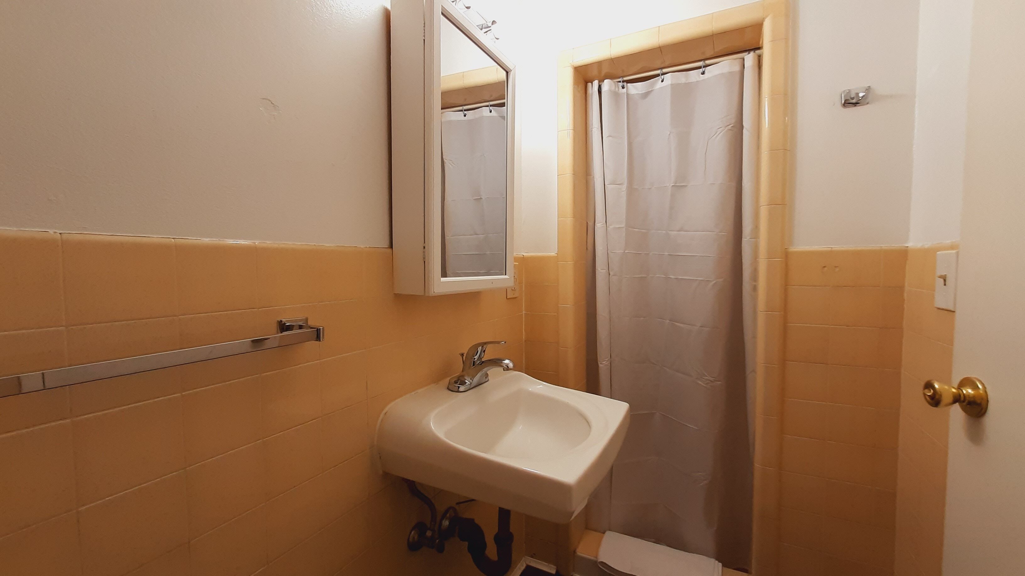 A bathroom with a sink, mirror, and shower curtain.
