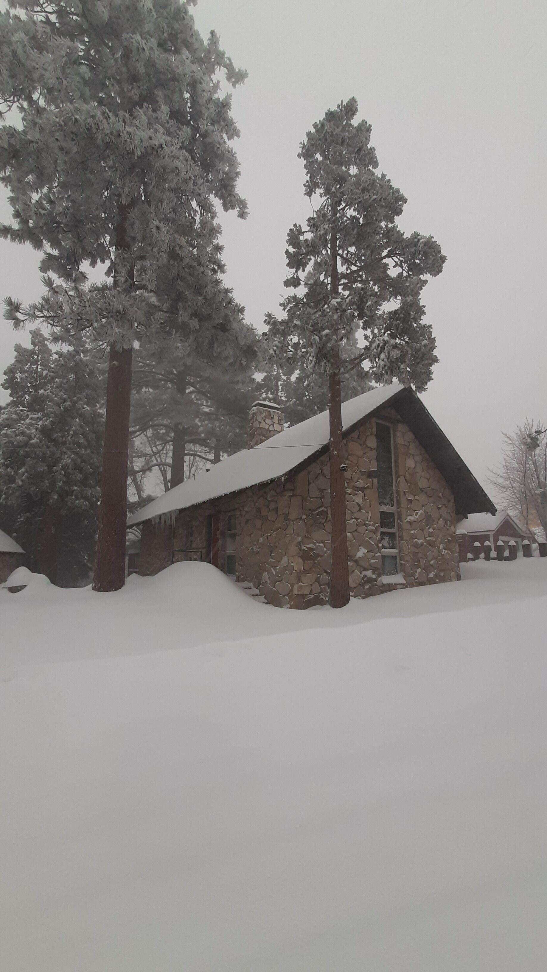 A stone cabin with a snow-covered roof, surrounded by tall pine trees.