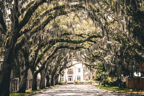 Great Location! Nights of Lights - Free Parking + Pet Friendly!