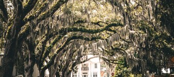 Great Location! Free Parking + Pet Friendly!