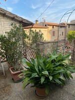 Detalle exterior
