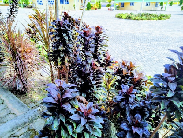 Room, Multiple Bedrooms, Accessible, Smoking | Property grounds