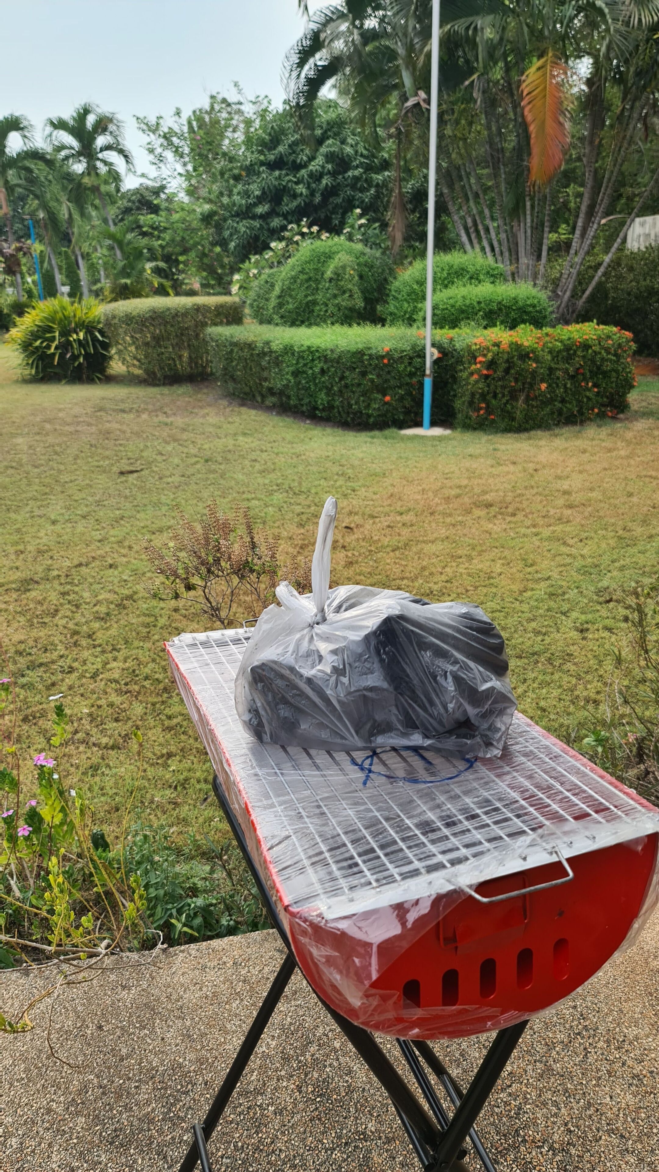 A red table with a plastic cover, set on a gravel path in a garden with green grass, bushes, and palm trees.