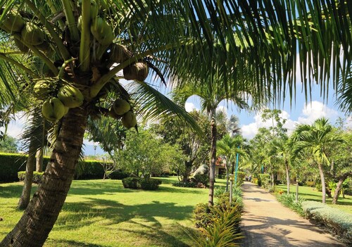 Beautiful Bungalow With Shared Outdoor Pool and 2 km From the Sandy Beach