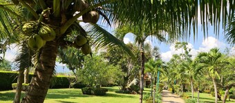 Beautiful Bungalow With Shared Outdoor Pool and 2 km From the Sandy Beach