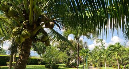 Beautiful Bungalow With Shared Outdoor Pool and 2 km From the Sandy Beach