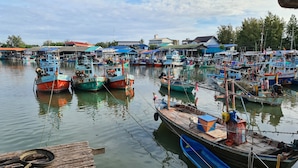 Uma marina com vários barcos atracados, cercada por edifícios com telhados de diferentes cores.