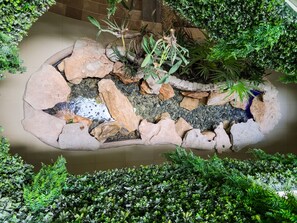 Détail de l’intérieur