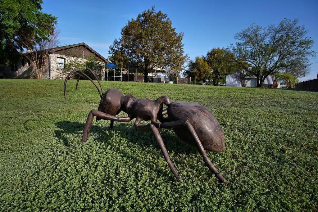 Une sculpture représentant une grande fourmi, placée dans un champ herbeux avec des arbres et un bâtiment en arrière-plan.