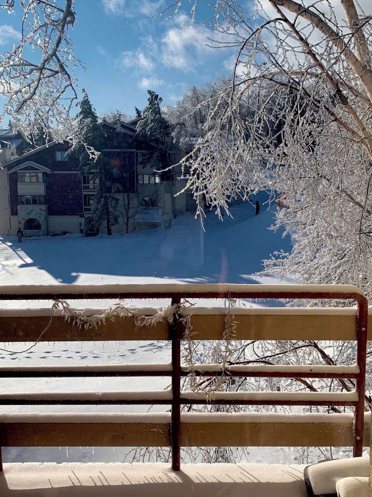 Foto de perfil del anfitrión