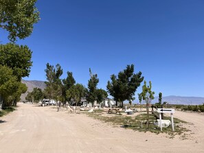 Ein Campingplatz mit Wohnmobilen, Picknicktischen und Bäumen.