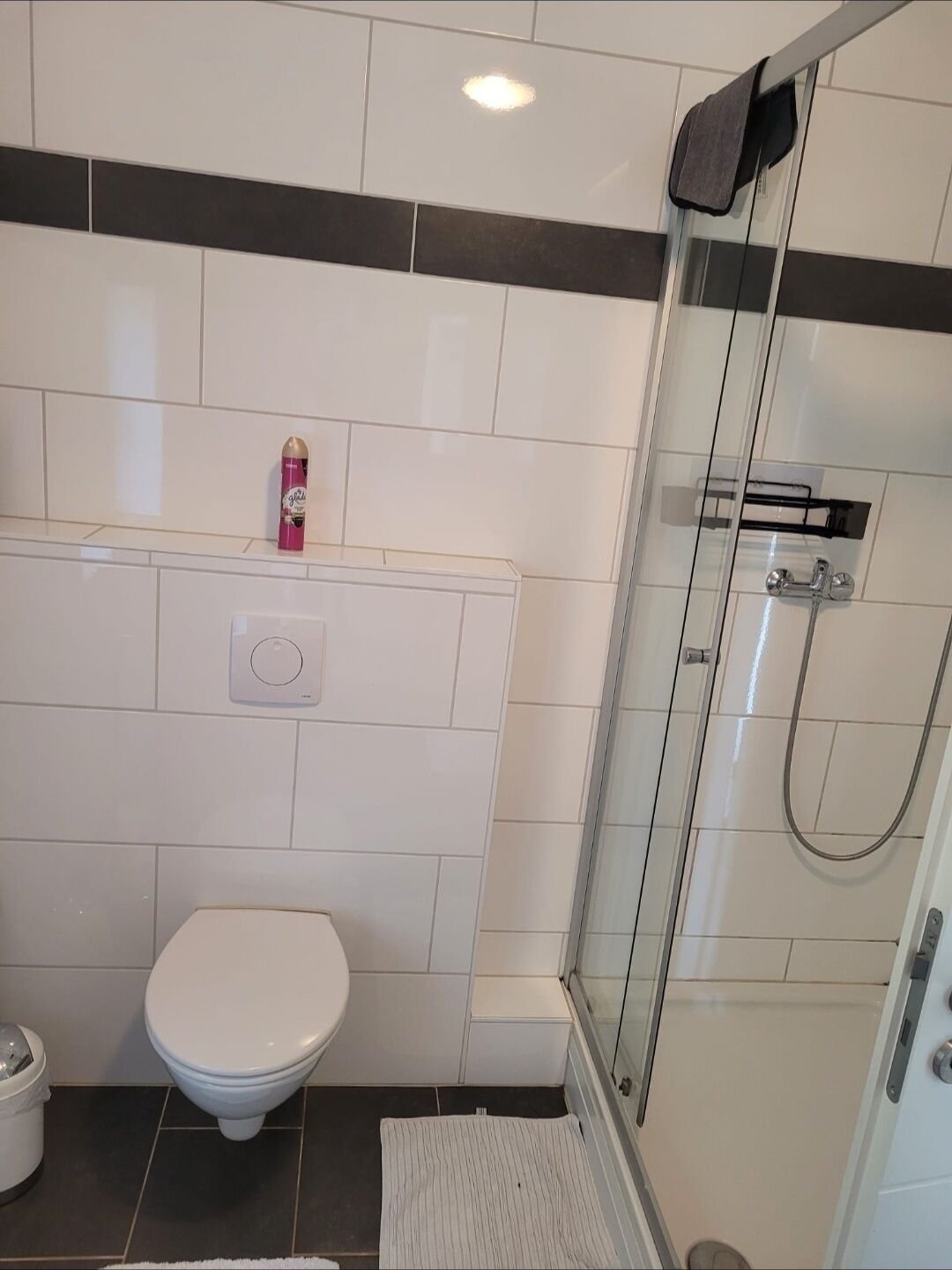 Shower, hair dryer, soap, shampoo