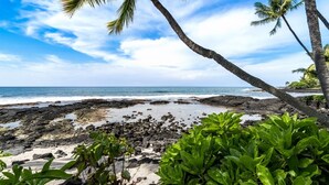 A rocky beach with palm trees and ocean views. - 🏖️Direct Ocean Front | Close to Town | AC | Upper Floor (Kailua Kona)
