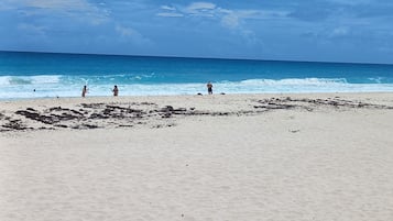 Plage, chaises longues
