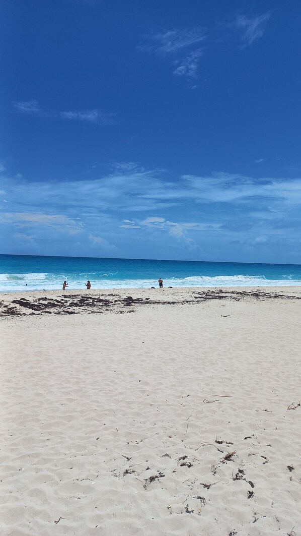 Plage, chaises longues