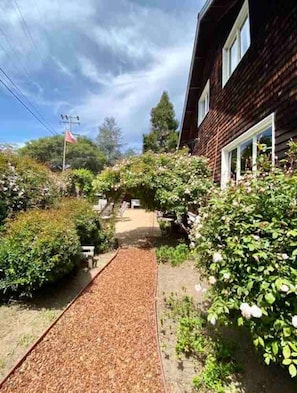 A garden pathway leading to a wooden house with a window.