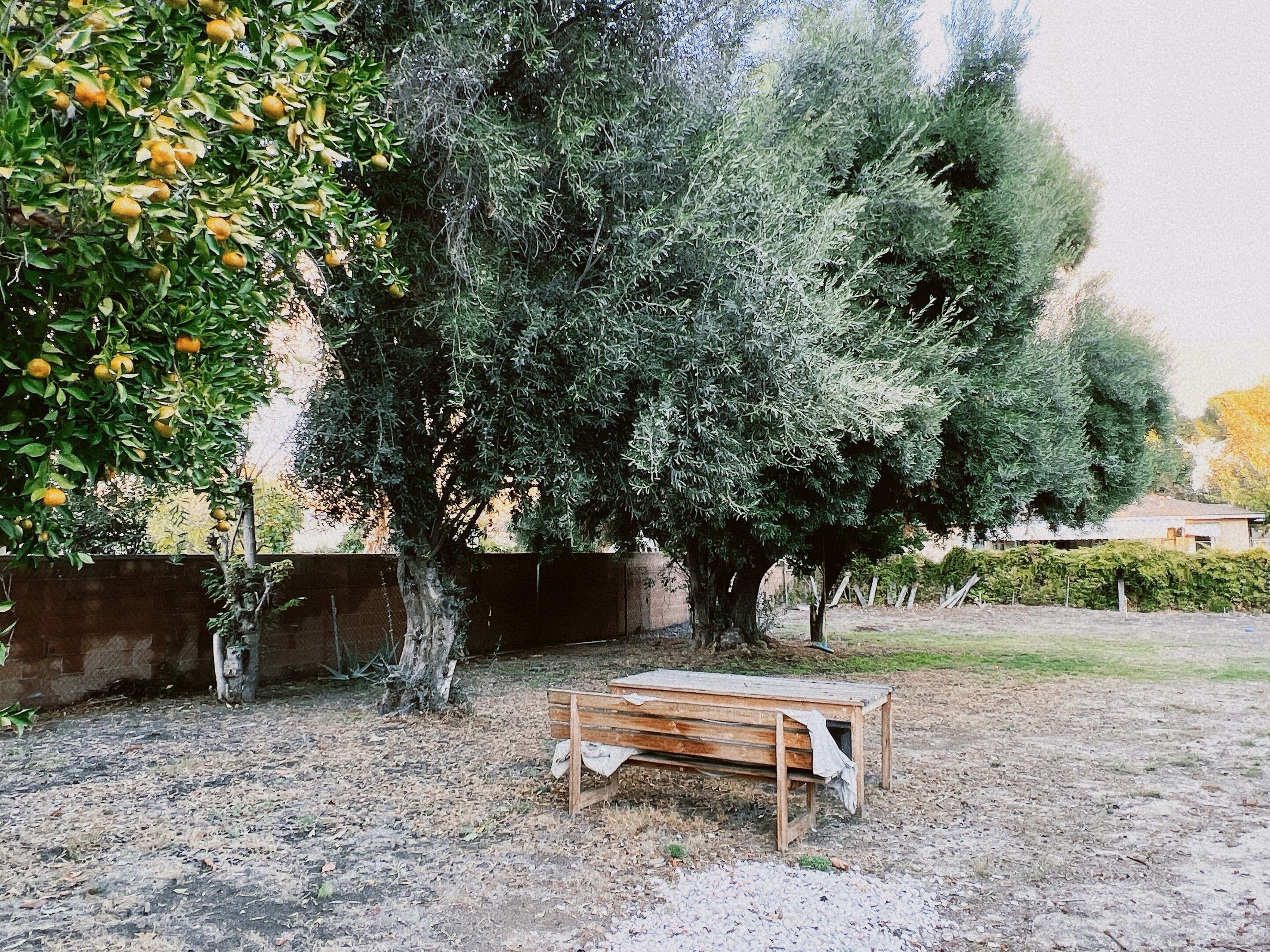 Cozy 2BR House with huge backyard walking 3 mins to supermarket