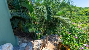 A stone staircase surrounded by lush greenery and flowering plants.