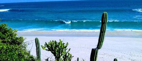 Bungalow, 1 Bedroom, Smoking, Patio | Beach