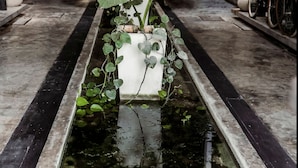 En smal bassin med planter og en hvid plantekasse i midten, omgivet af en støbt gulv og en buet struktur i baggrunden.