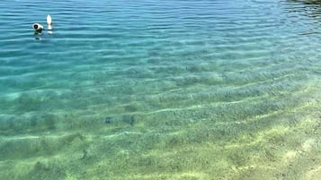 Una masa de agua costera transparente con barcos y una orilla con árboles.
