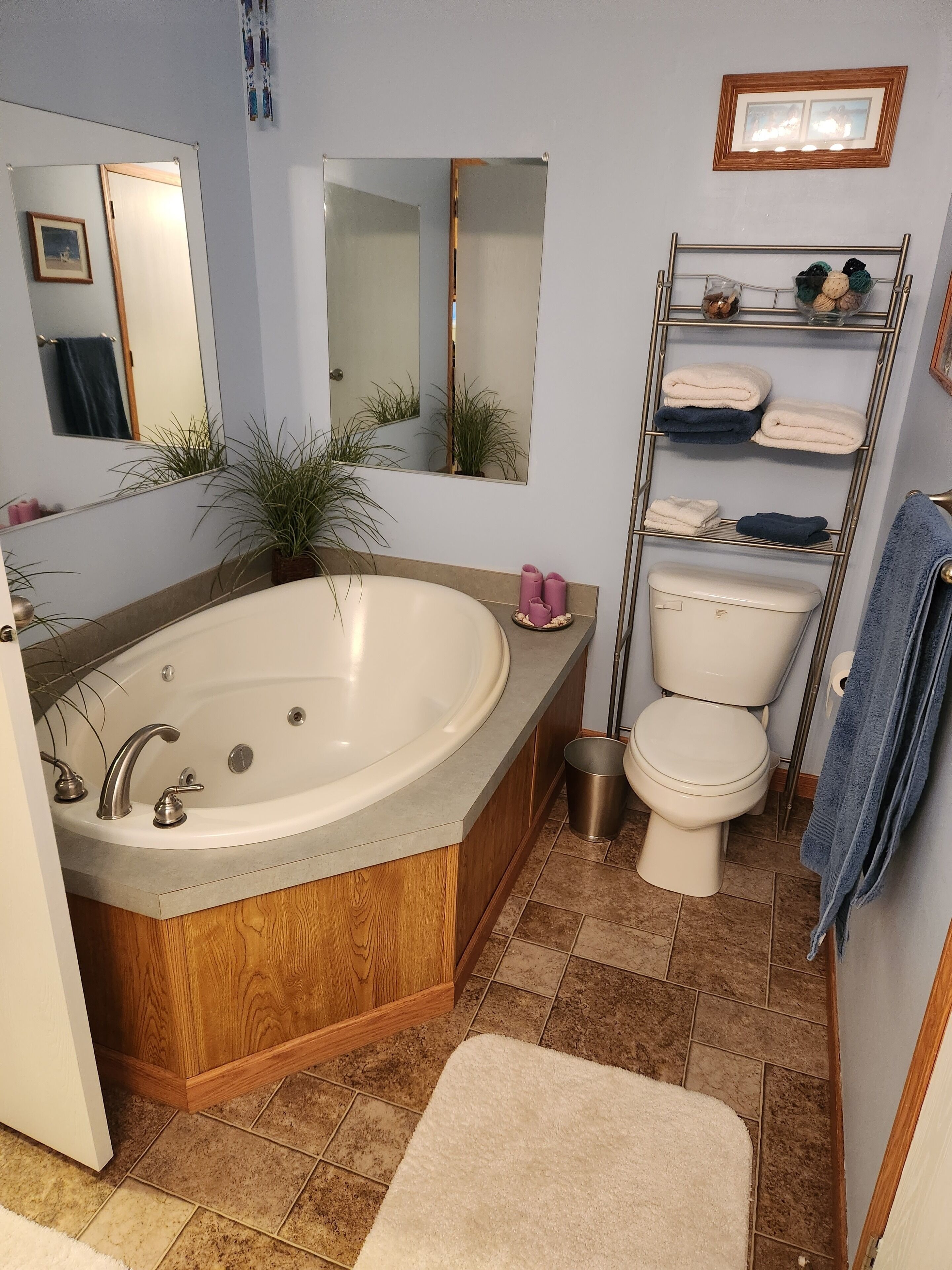 Shower, jetted bath, hair dryer, towels