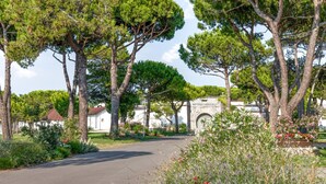 Property grounds - Cozy apartment in Cavallino-Treporti (Cavallino-Treporti)