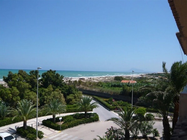 A coastal view with a road leading to a beach, surrounded by greenery and palm trees.
