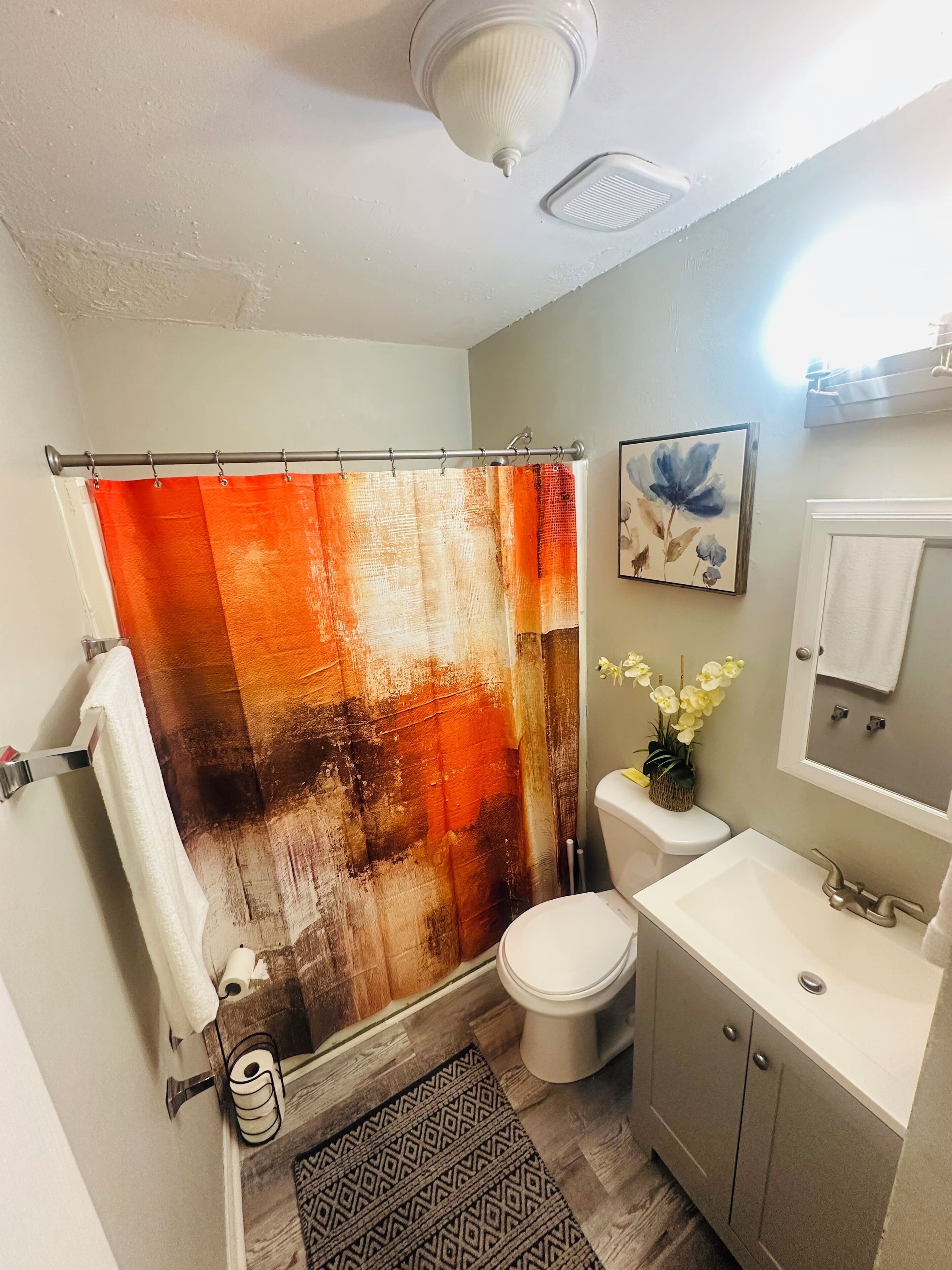 Hair dryer, towels, soap, shampoo