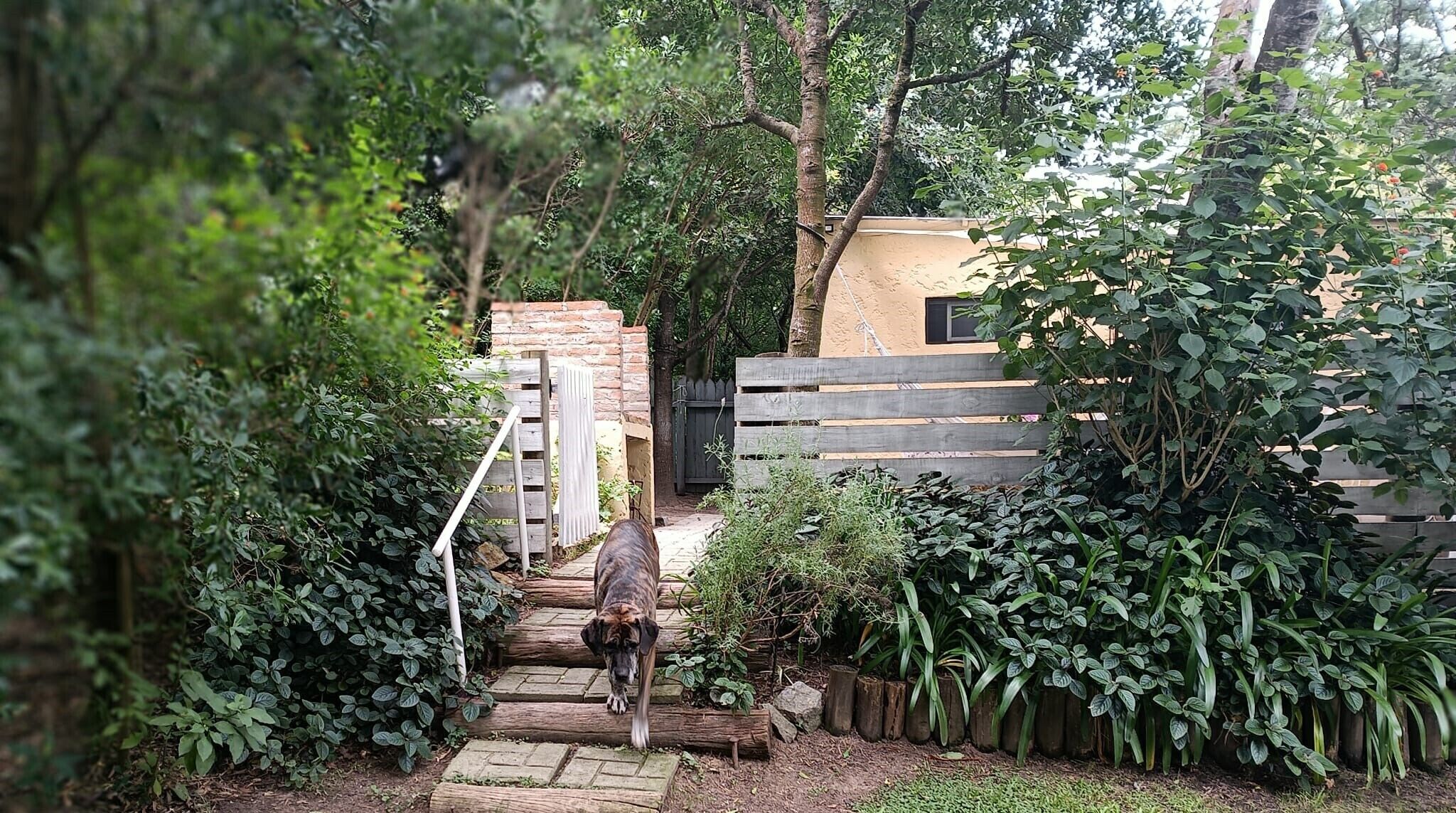 Terrain de l’hébergement 