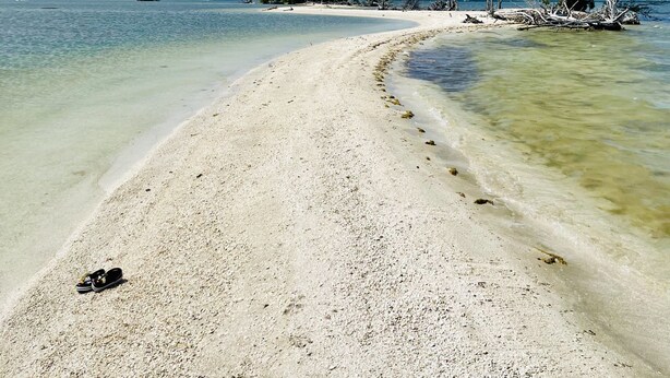 A beach with clear shallow waters, a sandy shore, and a few trees. - 🏝️10 MINS TO BEACH # HEATED POOL/SPA # SLEEP FOR 12@ KIDS FRIENDLY (Melbourne)