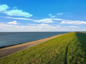 House | View from property - Holiday Home in Wijnaldum Near Harlingen Harbor (Wijnaldum)