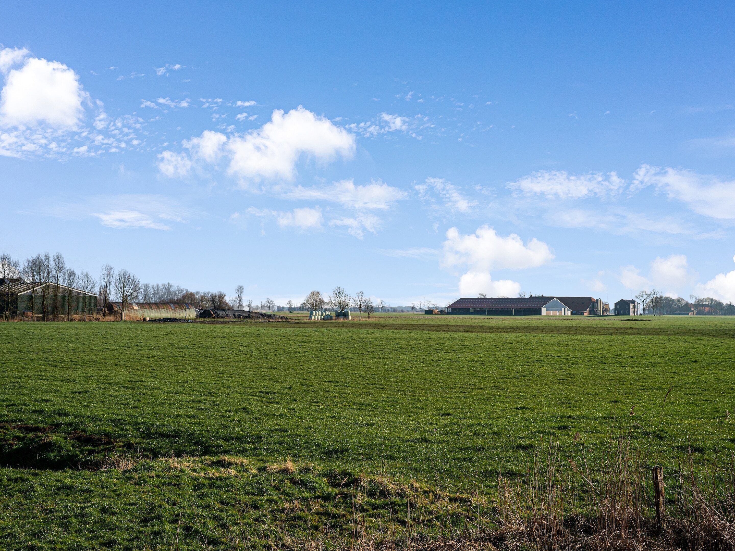 Un vaste champ ouvert, avec une grange et plusieurs bâtiments plus petits visibles au loin, sous un ciel bleu dégagé.