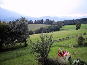 House | Garden