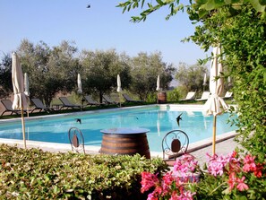Pool - Rustic Elegance in Montepulciano (Montepulciano)