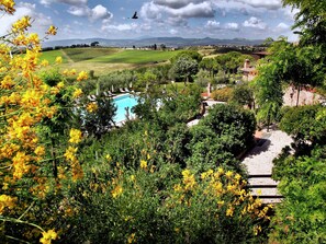 House | Pool | Outdoor pool - Rustic Elegance in Montepulciano (Montepulciano)