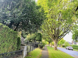 Stroll through a serene residential street lined with mature trees and well-maintained hedges.