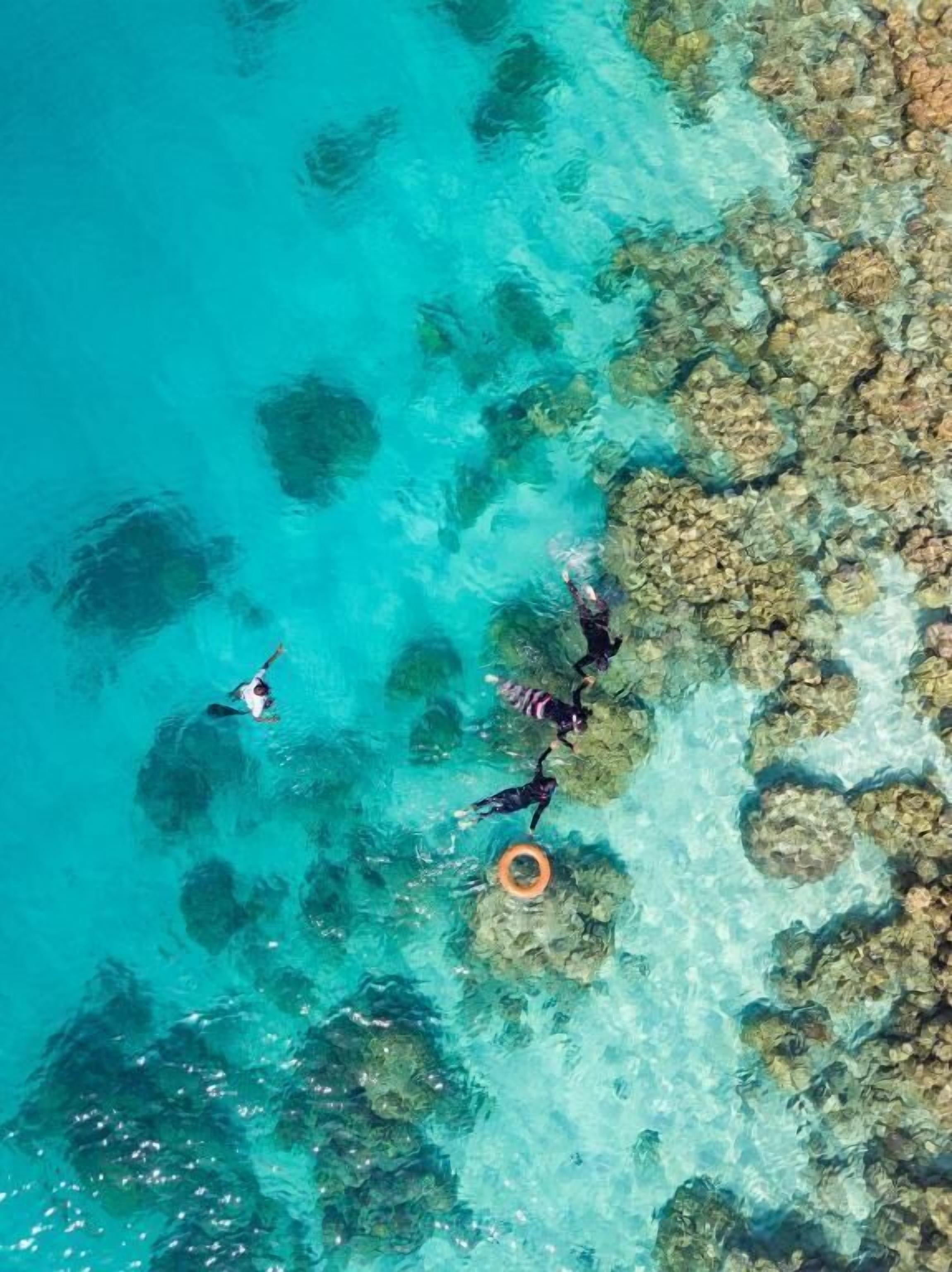 Vista aérea de un mar turquesa transparente con formaciones rocosas y una persona nadando.