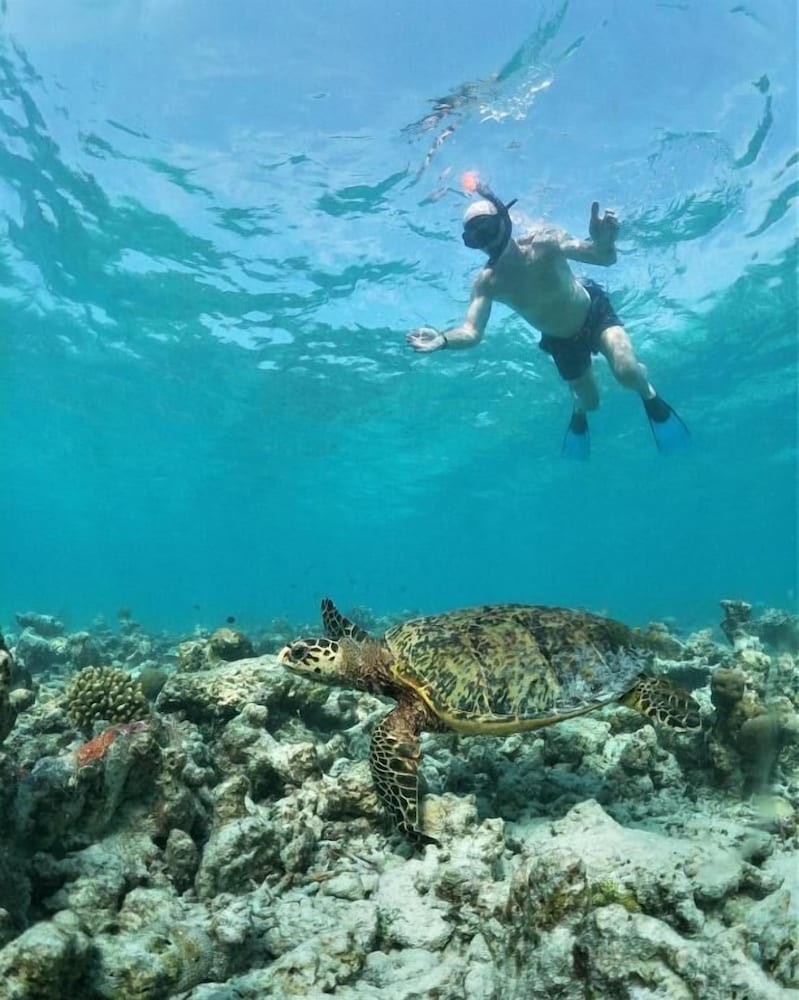 One the Island - Bild 4